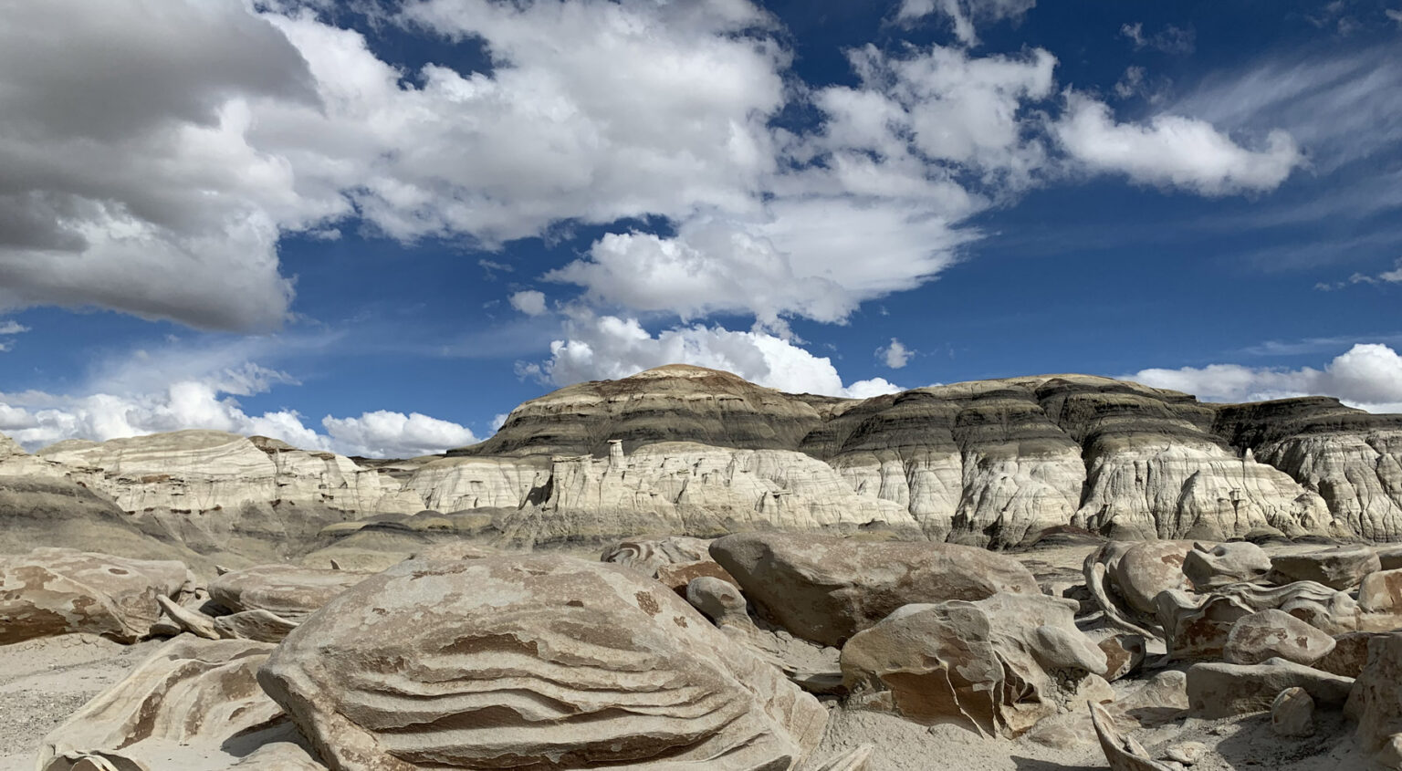 Bisti